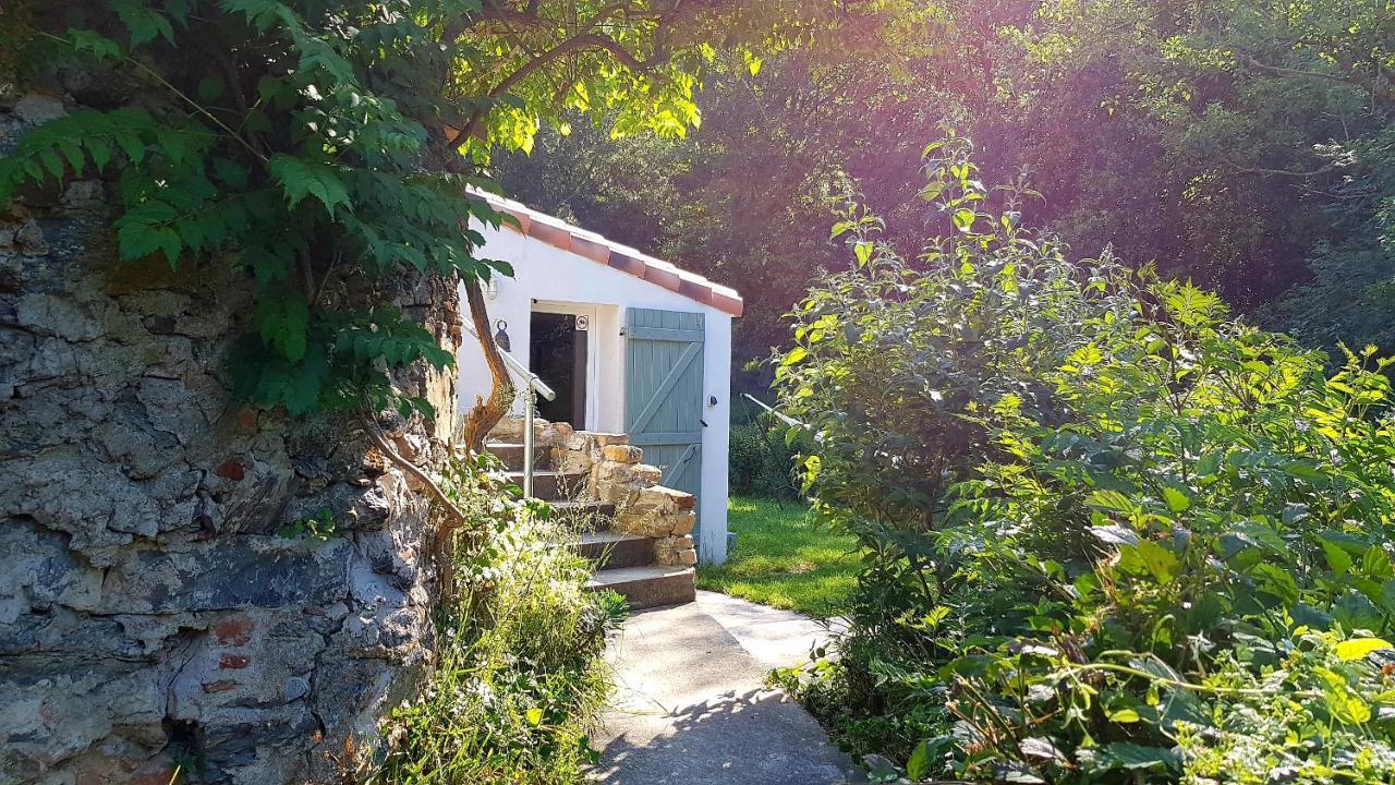 Beautiful Studio Surrounded By Nature Lanet المظهر الخارجي الصورة