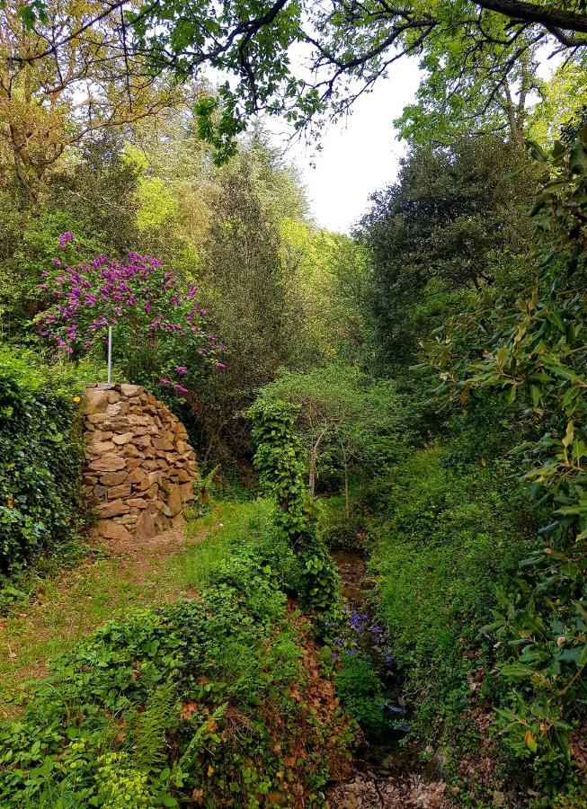 Beautiful Studio Surrounded By Nature Lanet المظهر الخارجي الصورة