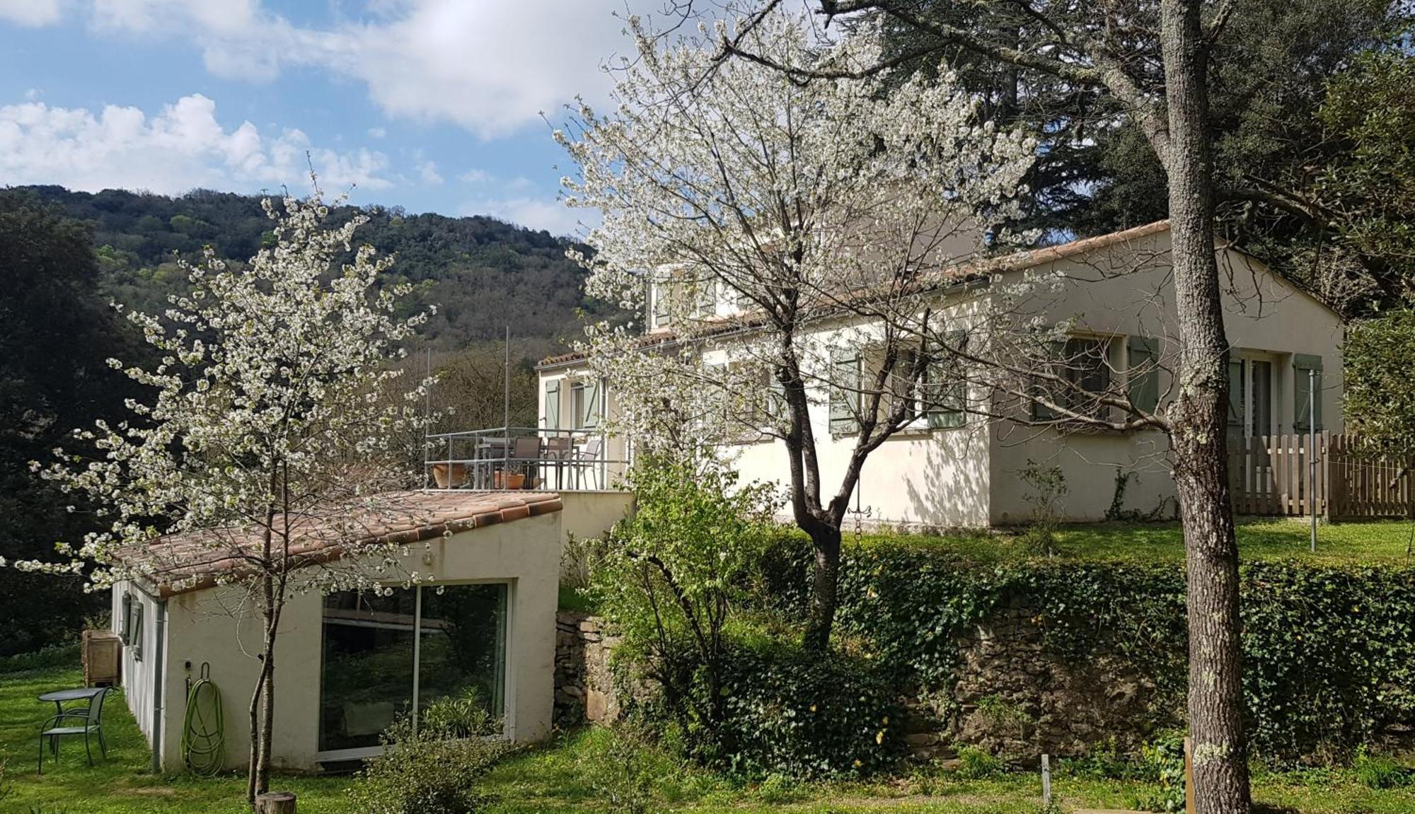 Beautiful Studio Surrounded By Nature Lanet المظهر الخارجي الصورة