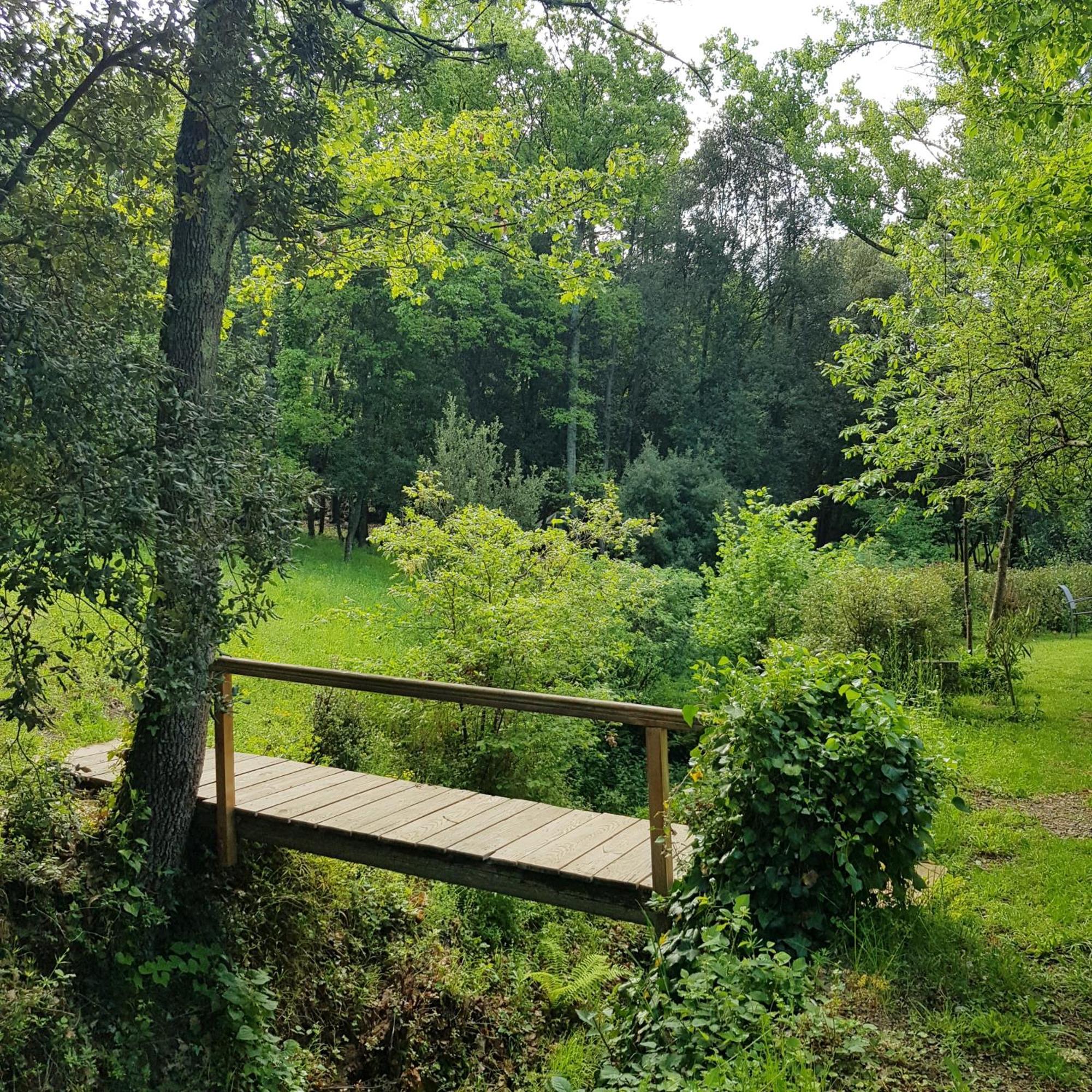 Beautiful Studio Surrounded By Nature Lanet المظهر الخارجي الصورة
